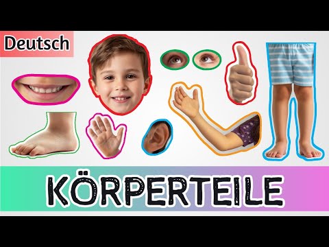 Kann dein Kind die Körperteile benennen? 💪🦵👀