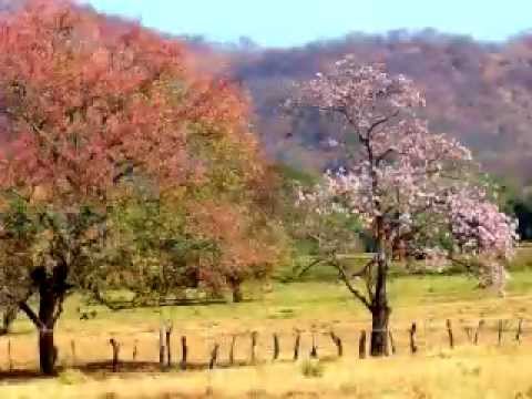 Pampa [Folklore de Costa Rica]