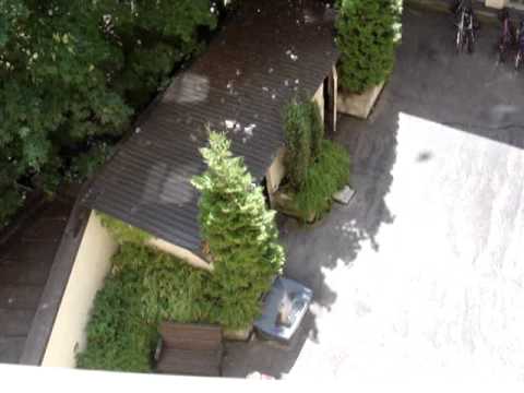 Hullu naapuri raivoaa