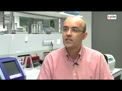 ¿Cómo somos genéticamente los españoles?