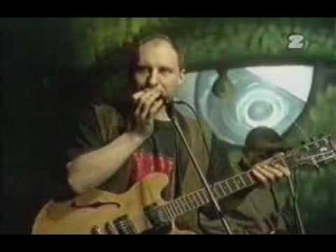 Elektryczne Gitary - Koncert 1995