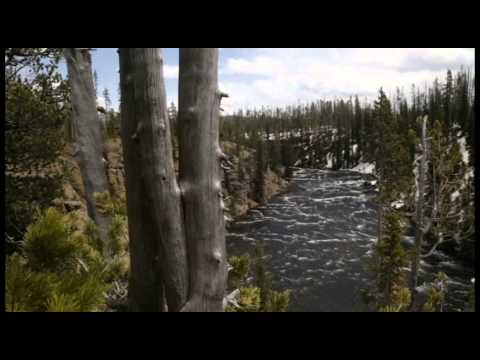 The Wandering Three Documentary