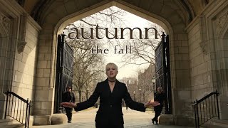 autumn - the fall