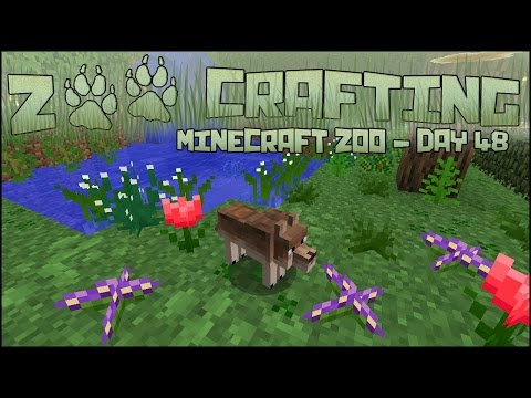 Breeding Our Red Wolves!! 🐘  Zoo Crafting:  Season 2 - Episode #48