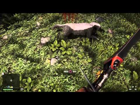 Honey Badger Shuffle