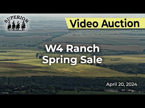 W4 Ranch Spring Production Sale