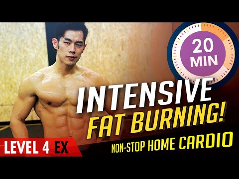 [Level 4 EX] 20 Minute Massive Calorie Burn!