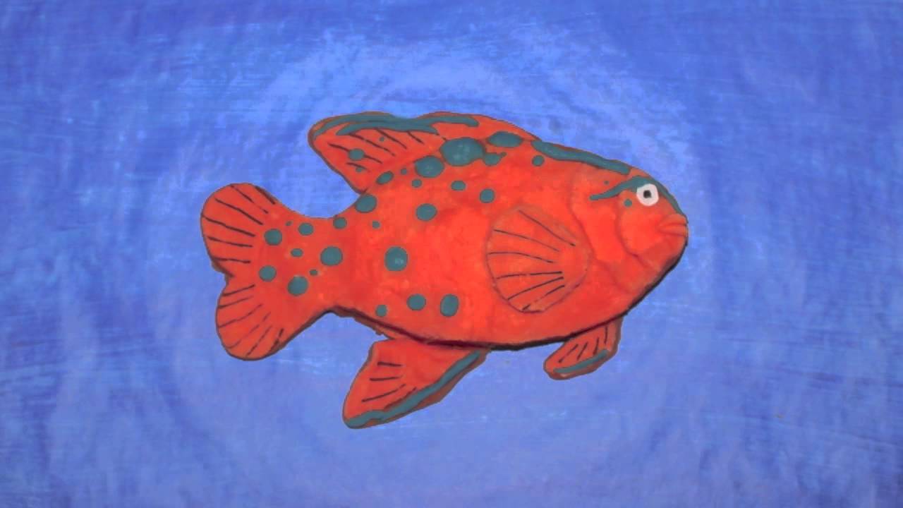 Are Garibaldi fish protected?