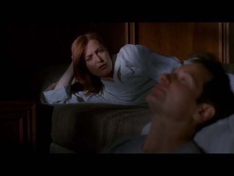 The X-Files - Final scene [9x20 - The Truth]