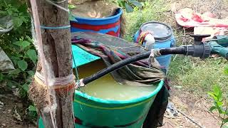 పామాయిలు మొక్కలకి జీవన ఎరువుల సేద్యం? #oilfam #farming #agriculture
