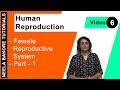 Human Reproduction NEET Female Reproductive System Part 1 Neela Bakore Tutorials