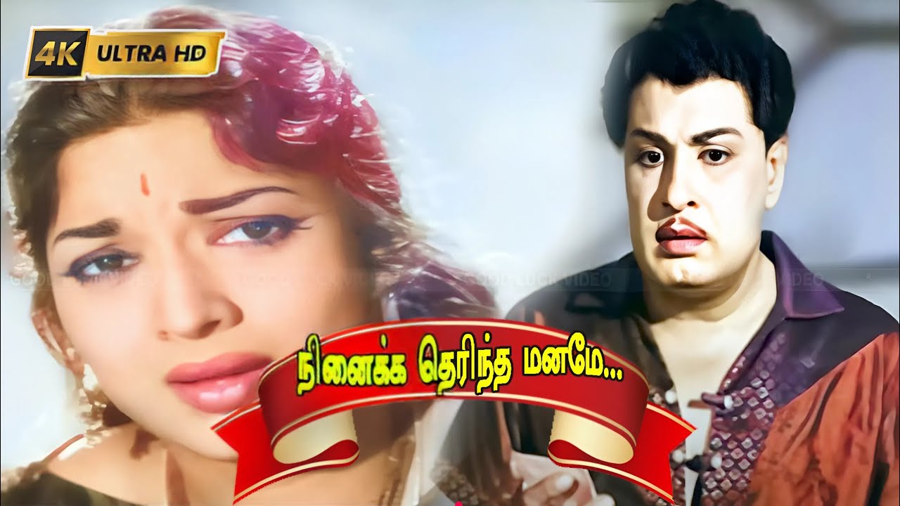Ninaikka Therintha Song Lyrics | Anandha Jodhi Tamil | P. Susheela