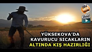 Yüksekova’da Kavurucu Sıcakların Altında Kış Hazırlığı