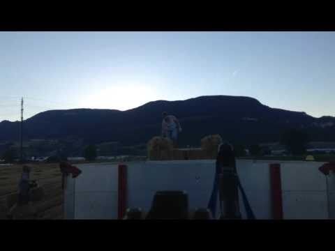 Heuladen fast wie früher