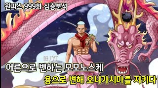 [원피스 999화 심층분석]모모노스케가 먹은 열매가 용용열매 환수종 모델 용?!