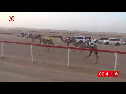 ش 3 (غزوه) لـ بدر علي بن حمود العويسي 6:31 ، شارة الشيخ طحنون 2026/8/22 حقايق الجبيب