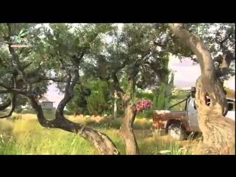 اشتباكات بين لواء الرشيد وقوات النظام في الفوعة