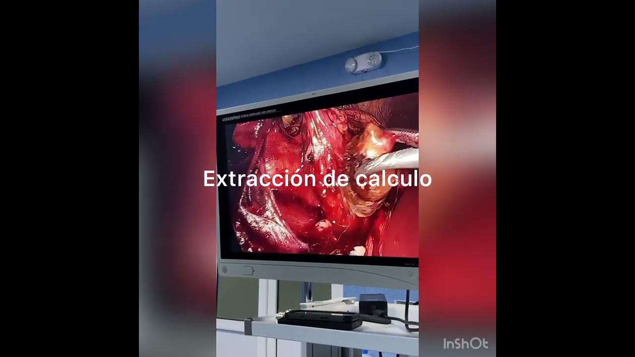 Alejandro López Alarcón-9