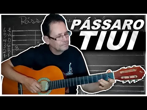 Pássaro Tiui - Carlos Cesar e Cristiano