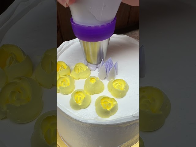 Vídeo relacionado con Juego de 4 boquillas de glaseado ruso para base de 3,7 cm (3,7 cm) Rusia boquillas de trabajo para pastelería y bolsa de silicona rápida y fácilmente para colocar e intercambiar