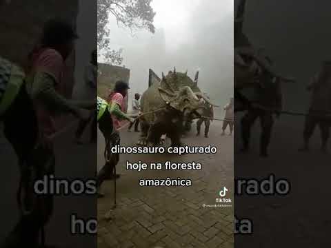 Dinossauro encontrado BRASIL  AMOZONIA #Shorts