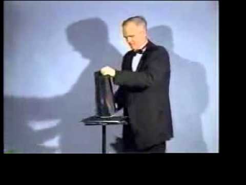 25 Bloom Botania on Tray (Hughes)