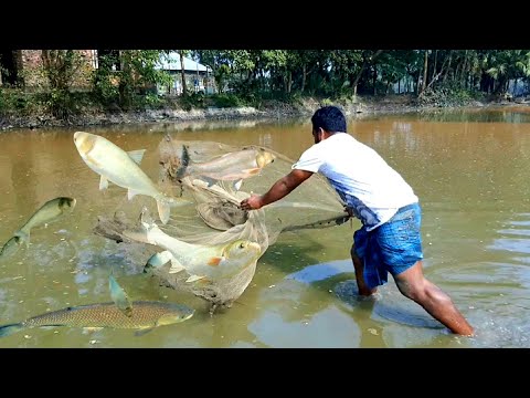 Most Satisfying Cast Net Fishing Video - Traditional Net Catch Fishing in The River | Fish Video