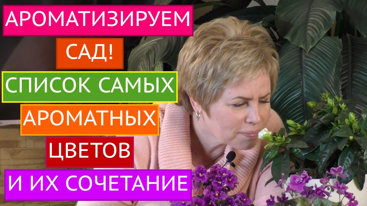 Ваш сад будет лучшим! Ароматизация сада - основные правила!