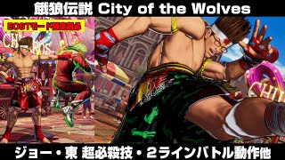 【餓狼CotW】ジョー・東 超必殺技・2ラインバトル動作・カラーエディット用模様・特殊挑発他