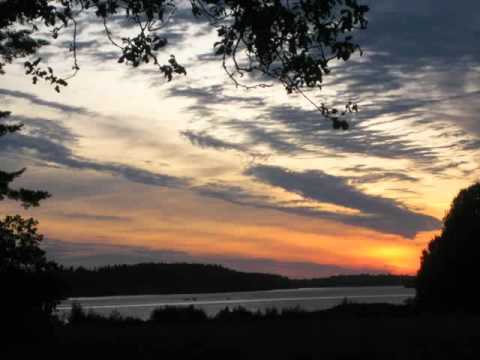 Techno Song by CeciliaMoller