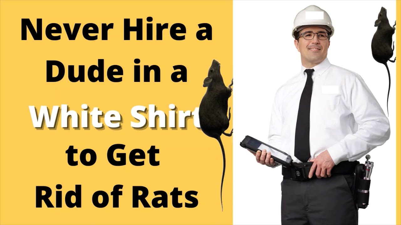 Company video RAPID RODENT REMOVAL