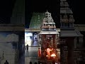 Sani Maha Pradosham Tiruvannamalai Shorts