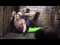 Silent Hill Съемки 