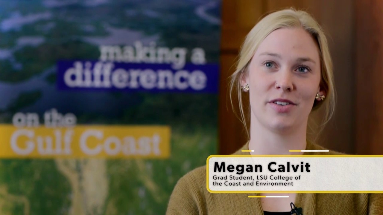 Why Did You Choose to Study Coastal Environmental Science?