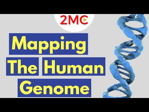 The Human Genome Project | A Brief Overview