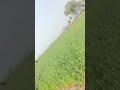 My First Bathing Vlog Aunty Bathing Vlog Desi Aunty Bathing Vlog Viral