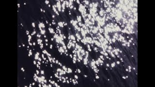 The Innocence Mission - When Mac Was Swimming