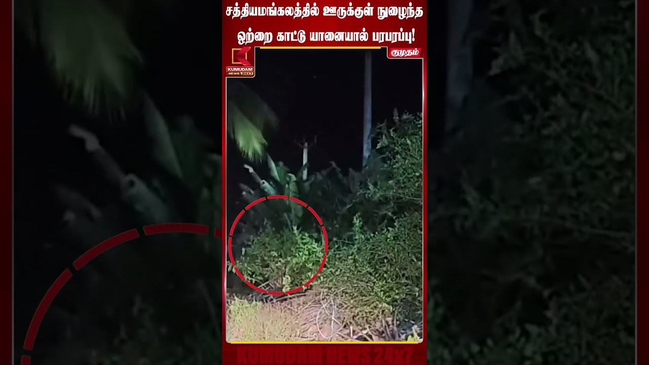 சத்தியமங்கலத்தில் ஊருக்குள் நுழைந்த ஒற்றை காட்டு யானையால் பரபரப்பு! | Erode | Elephant | KumudamNews