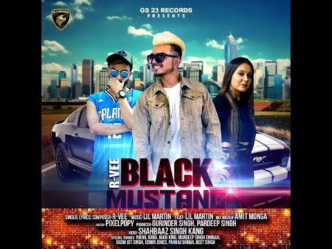 Black Mustang
