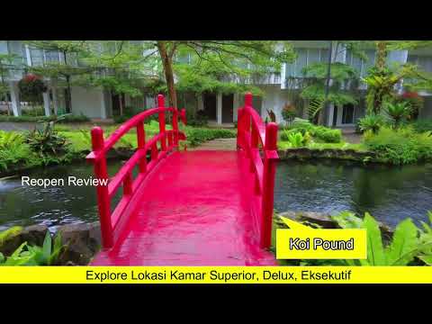 The Hill Sibolangit Part 5 Eksplore Lokasi Kamar Superior, Delux, Eksekutif