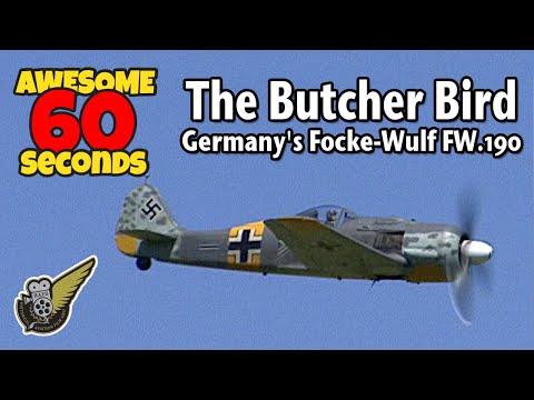 WW2 German Focke-Wulf FW190 In 60 Seconds