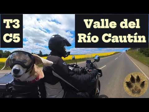 Precordillera de la Región de la Araucanía (Temporada 3, Capítulo 5)