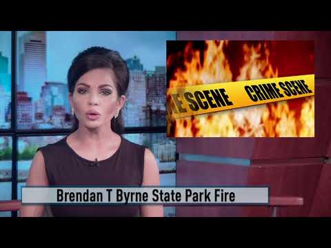 Brendan T. Byrne State Park Fire