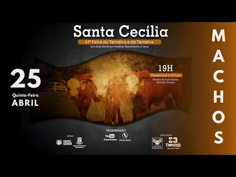 Leilão AO VIVO - Santa Cecília 25/04/2024 | Tarumã Remates