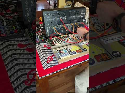 Korg ARP 2600M w/ custom EuroRack case image 12