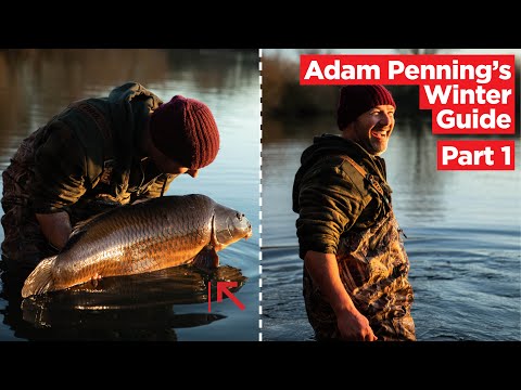 Conquer Winter Carp Fishing With Adam Penning! | Part 1: Location and Bite Indication