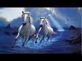 ⊰♥⊱ White Horses ⊰♥⊱