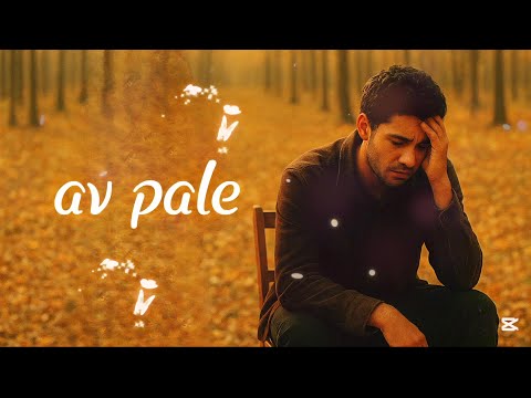 Theo - Av Pale ( RomaneGiľa 2025 )