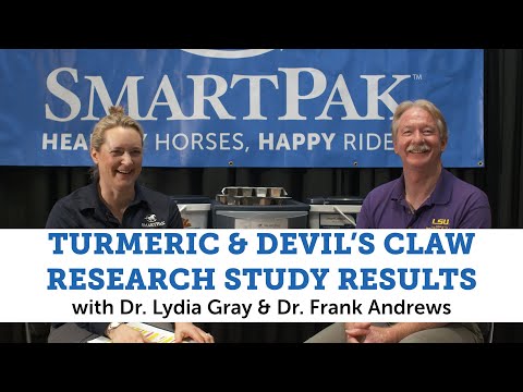 University safety study on the effects of turmeric and devil’s claw on horse stomach health