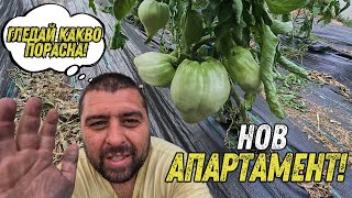 ЖИВОТ НА ДВЕ СКОРОСТИ: СЕЛСКИ ЖЕГИ И ГРАДСКИ РЕМОНТ 😅🌱🏙️